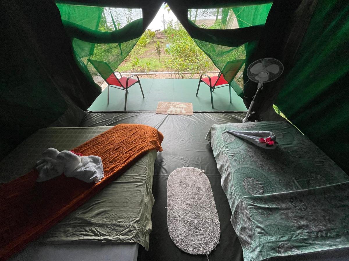 Hostel Corcovado Adventures Drakes Bay Exterior foto