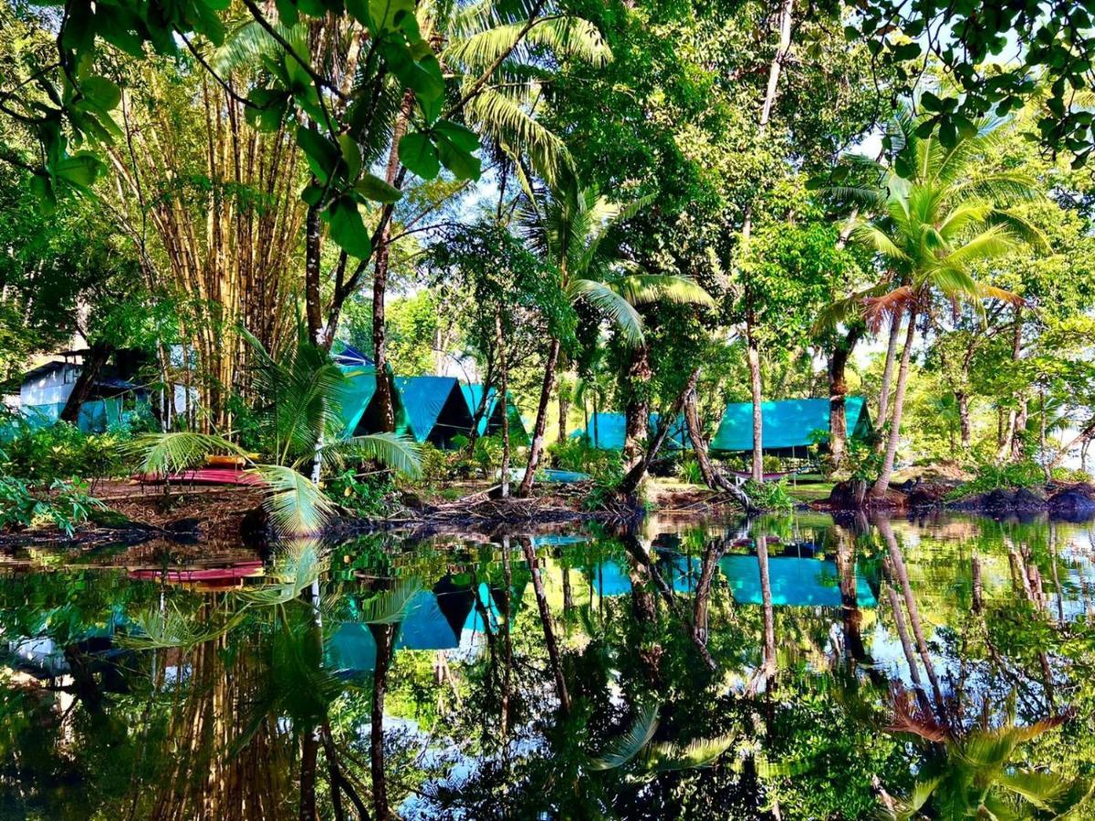 Hostel Corcovado Adventures Drakes Bay Exterior foto
