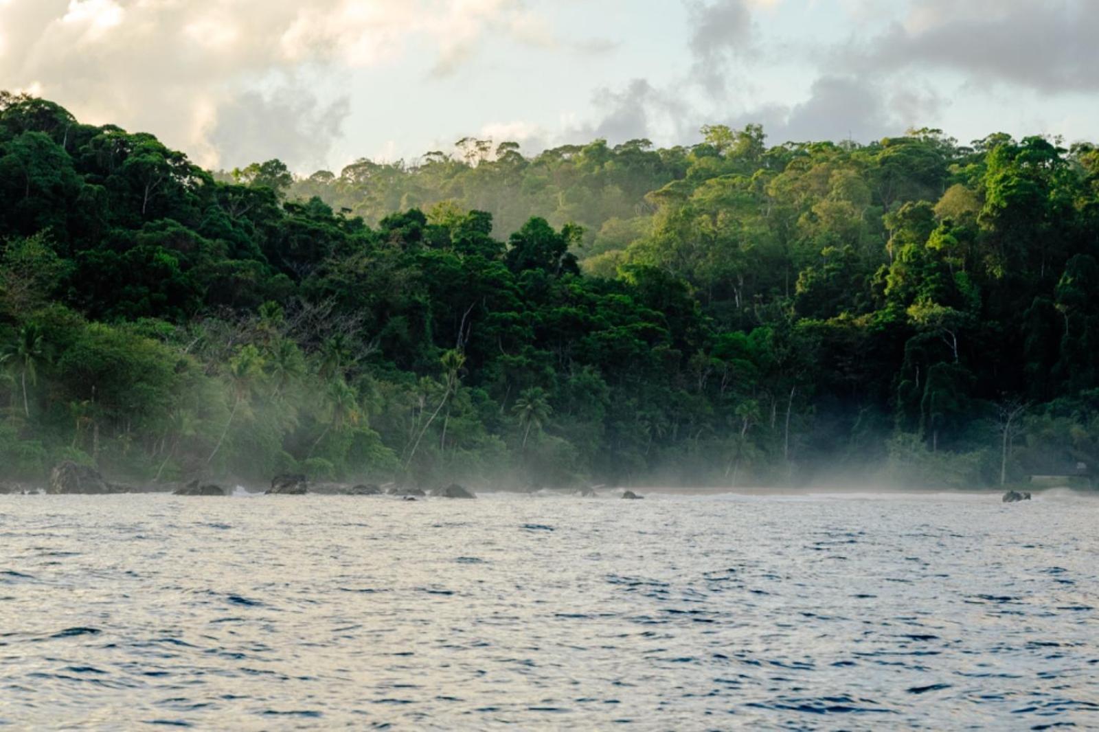 Hostel Corcovado Adventures Drakes Bay Exterior foto