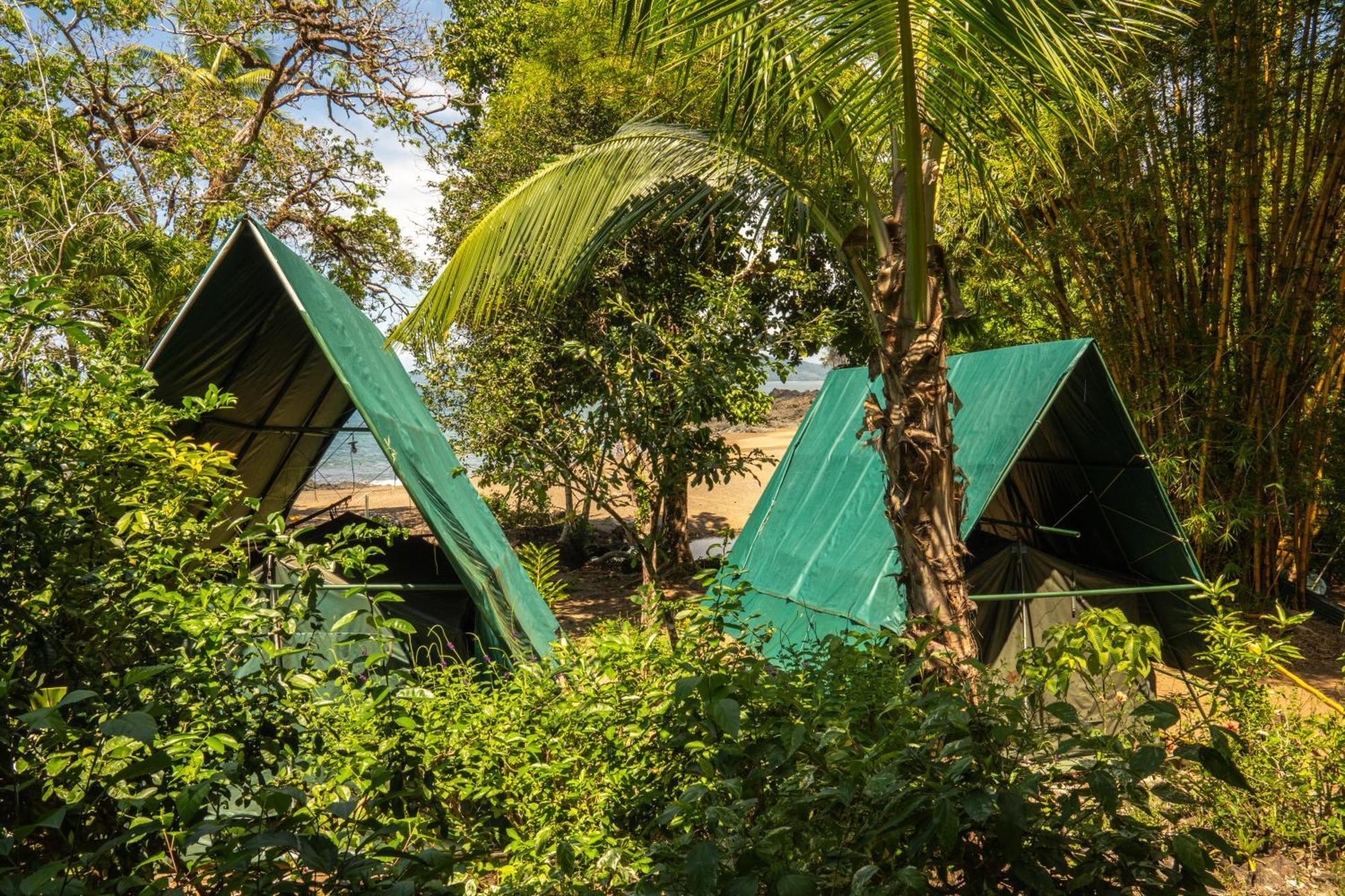 Hostel Corcovado Adventures Drakes Bay Exterior foto