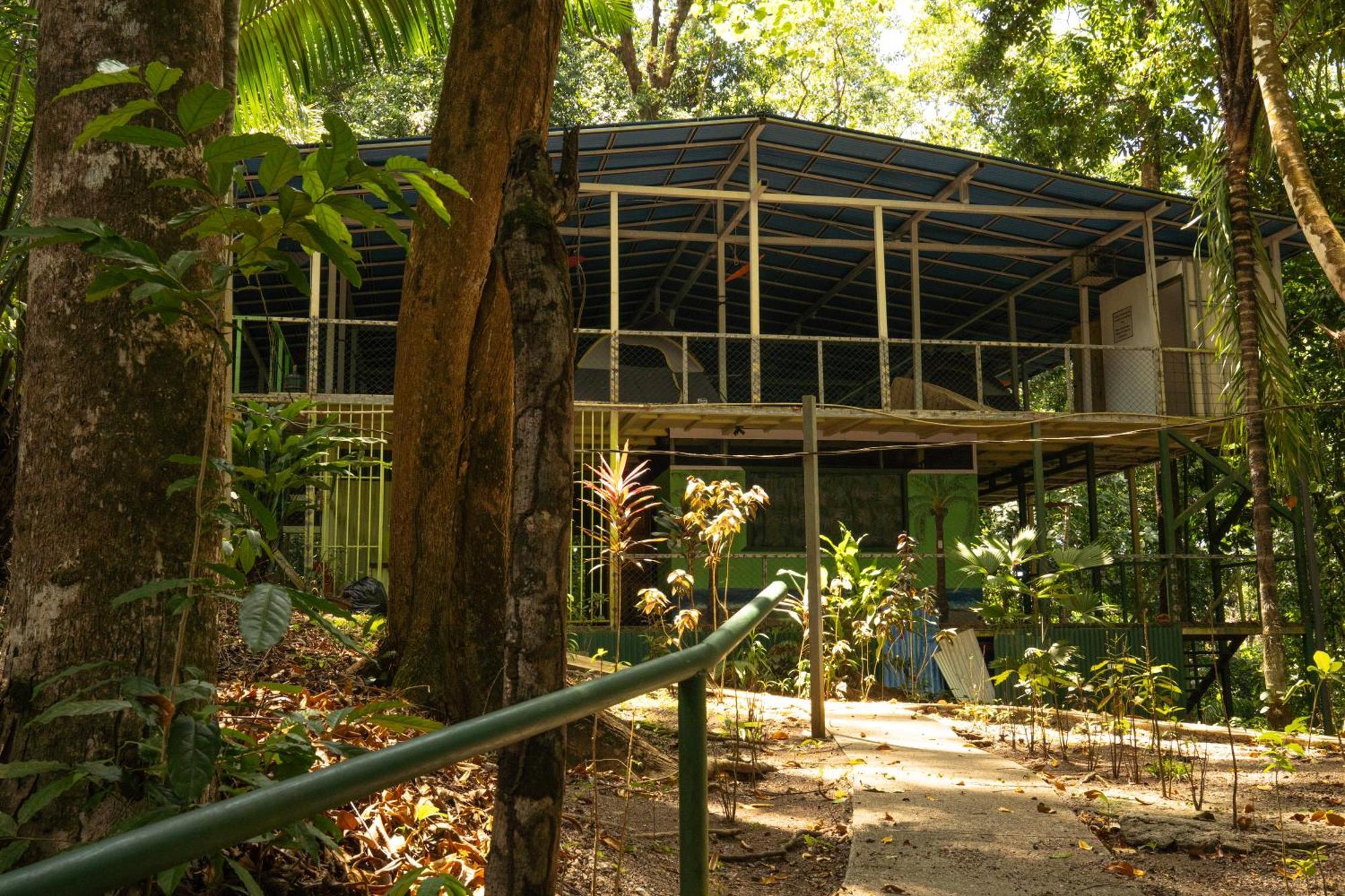 Hostel Corcovado Adventures Drakes Bay Exterior foto