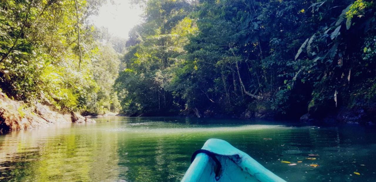 Hostel Corcovado Adventures Drakes Bay Exterior foto